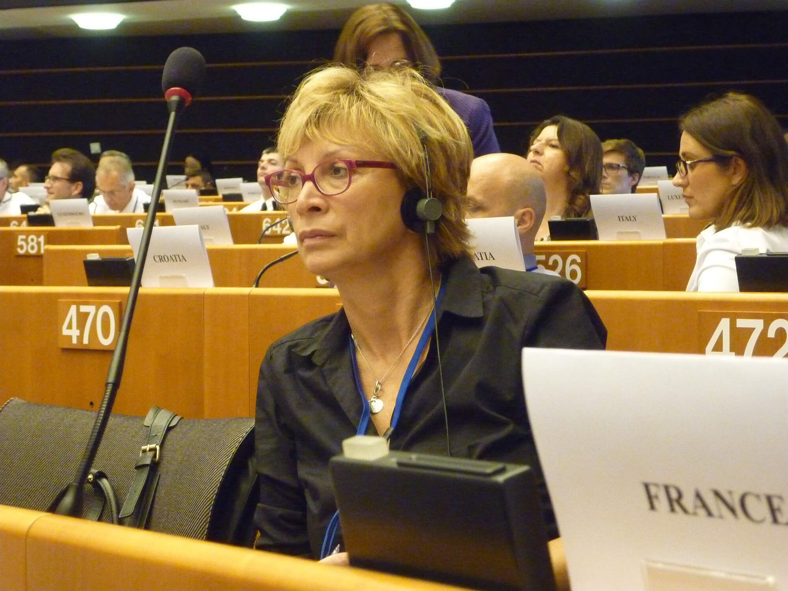 Défense d'intérêts et plaidoyers